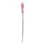 Ginger Flower Stem, 32"