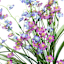 Purple Lily of the Valley Bush, 19"