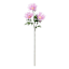 Purple African Daisy Spray, 12"