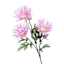 Purple African Daisy Spray, 12"