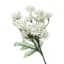 Willow Crossley White Queen Anne's Lace Pick, 11.5"