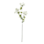 White Queen Anne's Lace Spray, 31"