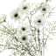 White Cornflower Bush, 19"