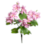 Purple Bauhinia Bush, 21"