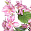 Purple Bauhinia Bush, 21"