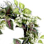 Queen Ann Lace & Coleus Wreath, 24"