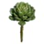 Green Rose Echeveria Pick, 5"