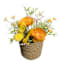 Orange Poppy & Yellow Butterfly in Basket, 10"