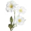 White Morning Glory Pick, 12"