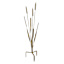 Honeybloom Bronze Metal Cattail Yard Stake, 35"
