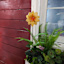 Yellow Flower Yard Stake, 22"