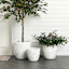 White Glazed Damask Outdoor Planter, Medium