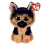 Spirit - German Shepherd Reg
