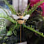 Honeybloom Bee Plant Yard Pick, 12"