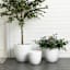 Providence Portia White Outdoor Planter, Large