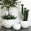Crosby St. Clara White Outdoor Planter, Medium