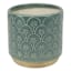 Honeybloom Indoor Aster Green Flower Planter, 4"