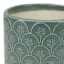 Honeybloom Indoor Aster Green Flower Planter, 4"