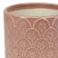 Honeybloom Indoor Aster Pink Flower Planter, 4"