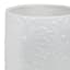 Sunny Club Indoor White Ceramic Daisy Planter, 5"