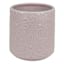 Sunny Club Indoor Pink Ceramic Daisy Planter, 5"