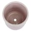 Sunny Club Indoor Pink Ceramic Daisy Planter, 5"