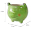 Indoor Frog Ceramic Planter, 3"
