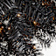 (B8) Pre-Lit LED Black Fir Tree, 7'