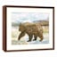 Lake & Lodge Glass Print Bear Print Wall Art, 21x17
