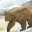 Lake & Lodge Glass Print Bear Print Wall Art, 21x17