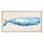 Honeybloom Framed Whale Canvas Wall Art, 16x30