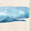 Honeybloom Framed Whale Canvas Wall Art, 16x30