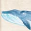 Honeybloom Framed Whale Canvas Wall Art, 16x30