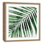 Glass Framed Palm Print Wall Art, 19"