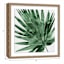 Glass Framed Palm Print Wall Art, 19"