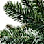 (B11) Unlit Nordmann Fir Christmas Tree, 7.5'