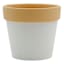 Indoor Crazy Plant Lady Ceramic Planter, 5"