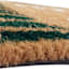 Honeybloom Trespassers will be Composted Coir Mat, 18x30