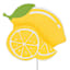 Oh Joy! Lemon Yard Pick, 14"