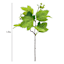 Willow Crossley Flowering Pick, 12"