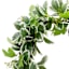 Mixed Leaves Wreath, 24"
