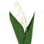 Lily of the Valley Pick, 10"