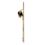 Honeybloom Gold Finish Metal Wall Organizer with Paper Roll, 12x22