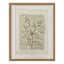 Glass Framed Leaves Print Wall Art, 16x20
