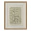Glass Framed Leaves Print, 16x20
