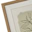 Glass Framed Leaves Print, 16x20