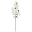 Orange Blossom Stem, 39"
