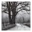 Black Tree Road Canvas Wall Art, 30"