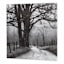 Black Tree Road Canvas Wall Art, 30"