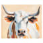 Orange Steer Canvas Wall Art, 32x24